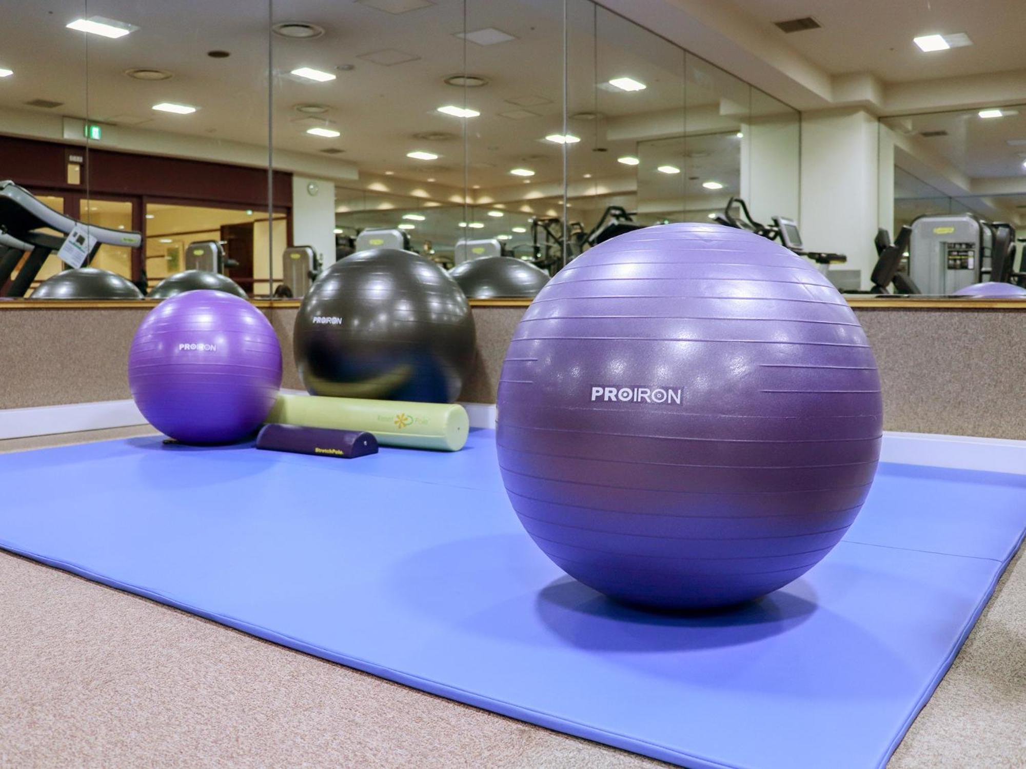 普乐美雅饭店- Tsubaki-札幌酒店 外观 照片 Swiss exercise ball